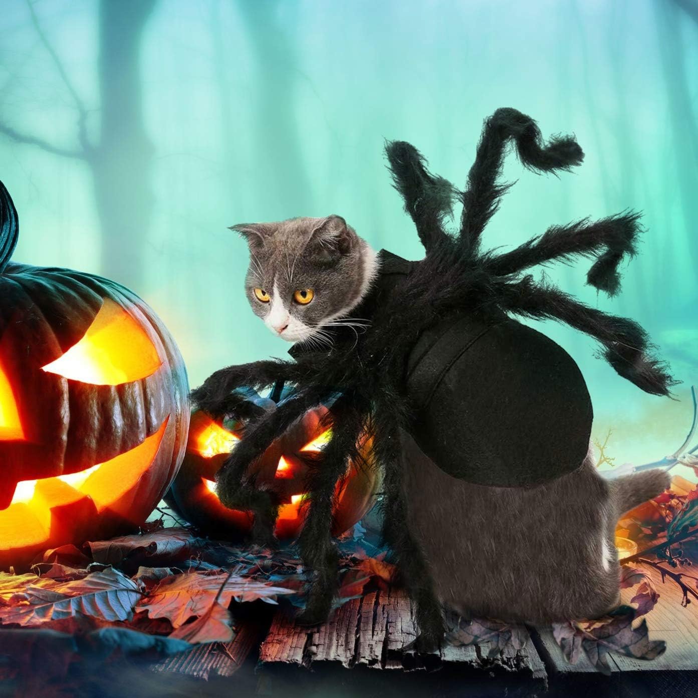 Halloween Spider Costume for Dog Cat, Halloween Pet Costume Halloween Decorations, Spider Decor Halloween Party