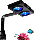 A036 5rd Reef Tank Light 36 Watts Saltwater Light with Touch Control, Reef Lights for Coral Reef Nano Fish Tank