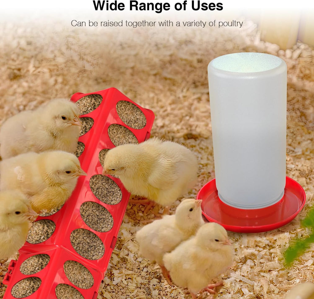 Chick Feeder and Waterer Kit, Chick Feeder Trough and 0.3 Gallon Chick Waterer, No Waste Baby Chick Starter Kit for