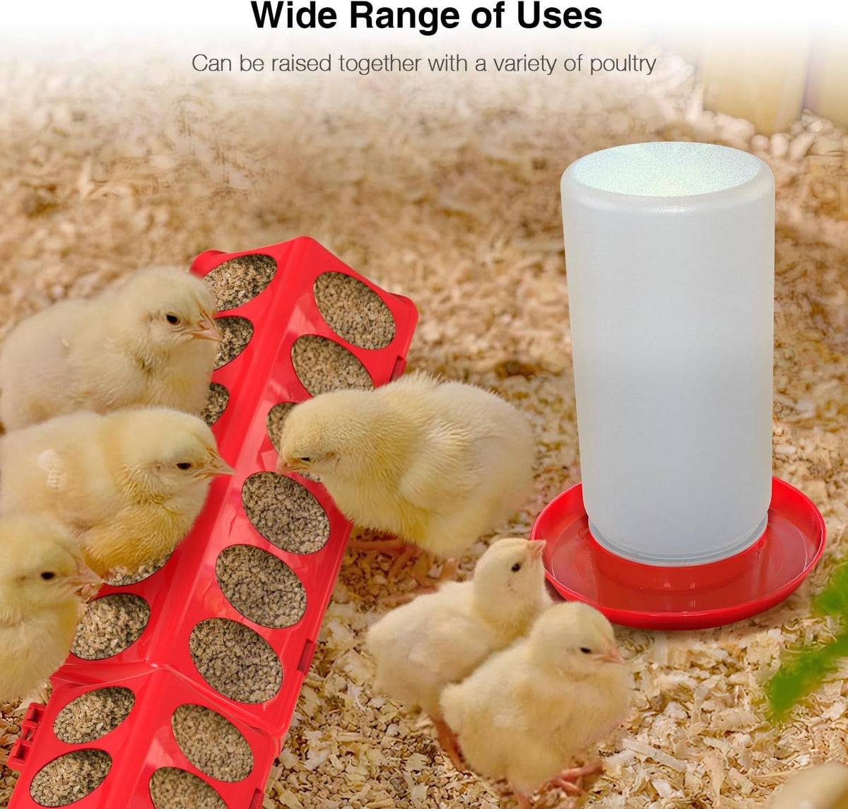 Chick Feeder and Waterer Kit, Chick Feeder Trough and 0.3 Gallon Chick Waterer, No Waste Baby Chick Starter Kit for