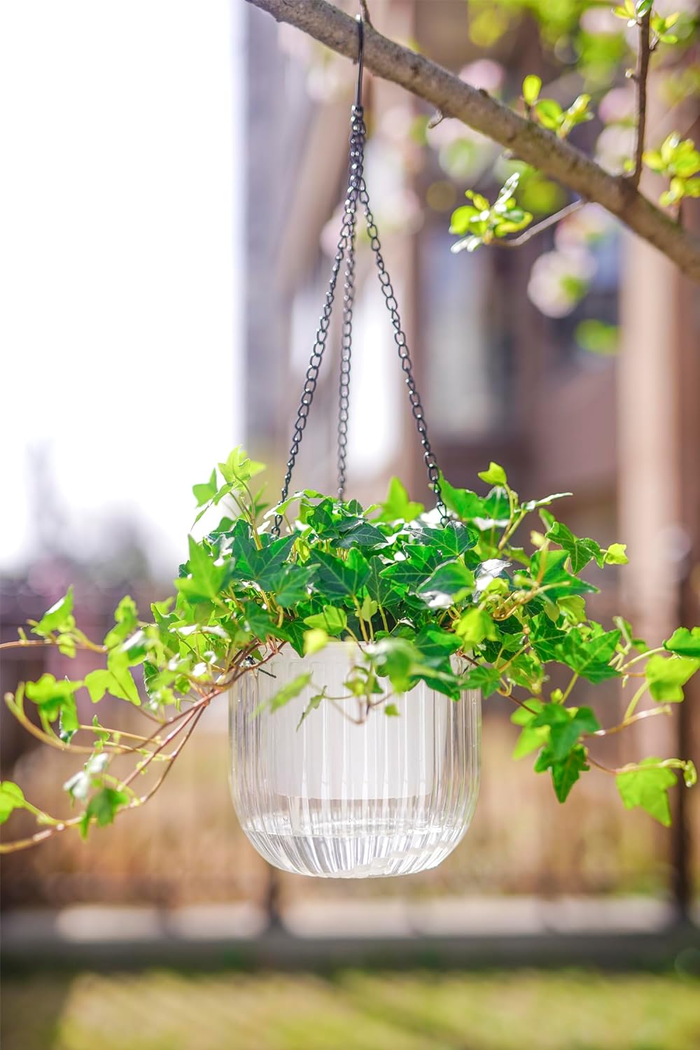 2 Pack Self Watering Hanging Planters Indoor Flower Pots, 6.5 Inch Outdoor Hanging Plant Pot Basket, Plant Hanger