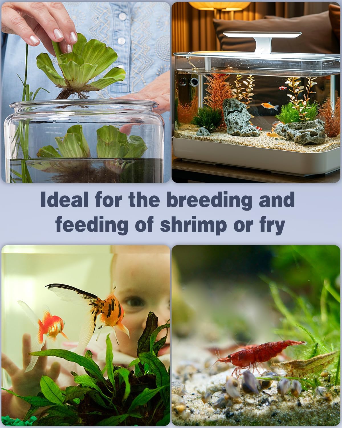 Mini Aquarium Sponge Filter, Small Fish Tank Internal Filter with Foam and Air Stone Submersible Bio Sponge Filter