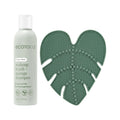 Makeup Brush Cleansing Pad + Deep Clean Shampoo Bundle, Brush Cleaner Mat & Makeup Brush Cleanser For Deep Cleaning