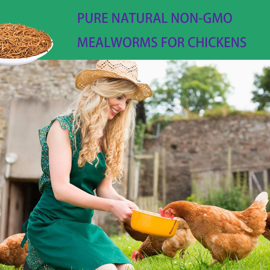 Dried Mealworms for Chickens 10LB Meal Worms for Laying Hens Wild Birds