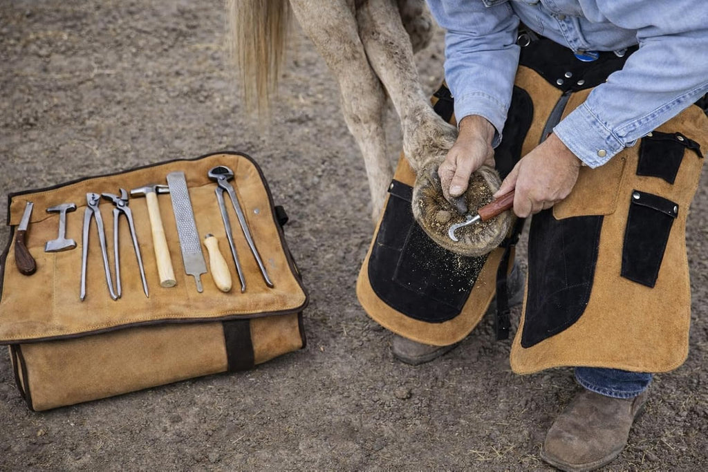 8 Piece Horse Shoe Farrier Hoof Grooming Tool Kit Carry Bag Apron Leather 98479