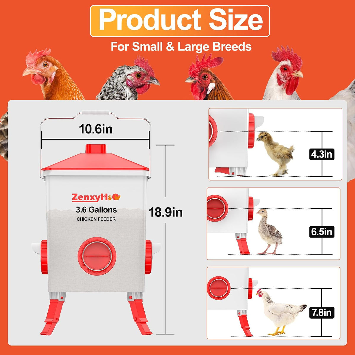 3.6 Gal Chicken Feeder with 4 No-Waste Ports - 3 Height Adjustable