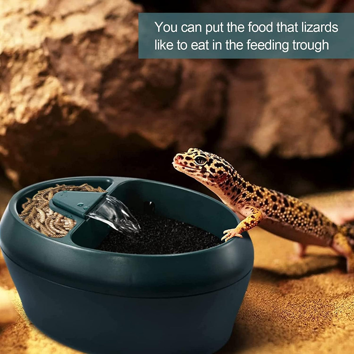 Reptile Chameleon Waterfall Drinking Fountain, Chameleon Water Dripper Food Bowl Water Cantina for Amphibians Insects