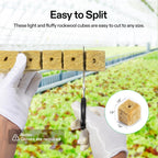 1.6" Rockwool Cubes, 28 Plugs Stonewool Starter Grow Cubes