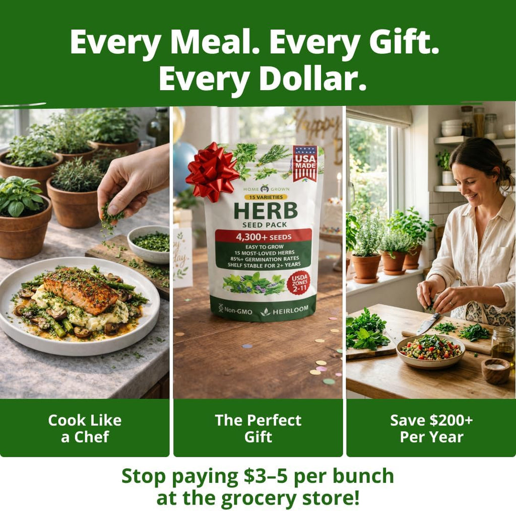 Herb Seeds for Planting 15-Pack Massive Seed Count 4,300+ Seeds Non-GMO Heirloom | Extra Large | Culinary Herb Kit