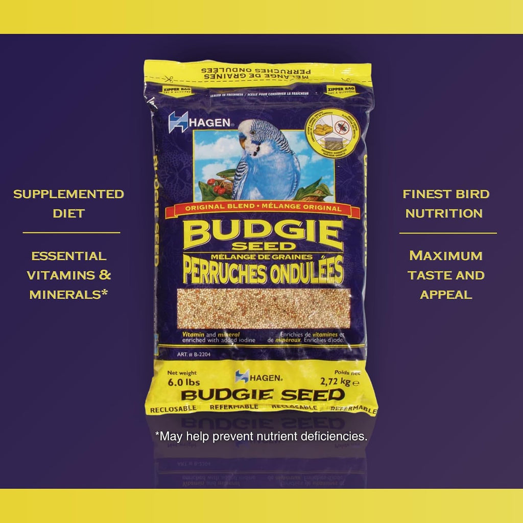 Parakeet/Budgie Staple White Millet Bird Seed - 6 lb Bag | Premium Blend, Nutritionally Balanced, Fortified with