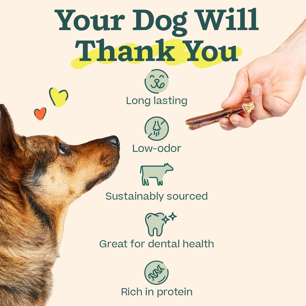Bully Sticks Dog Chew Treats, 6 Inch, 5 Count