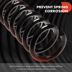 A-Premium 2-Pack Front Suspension Coil Spring Set Compatible with Dodge