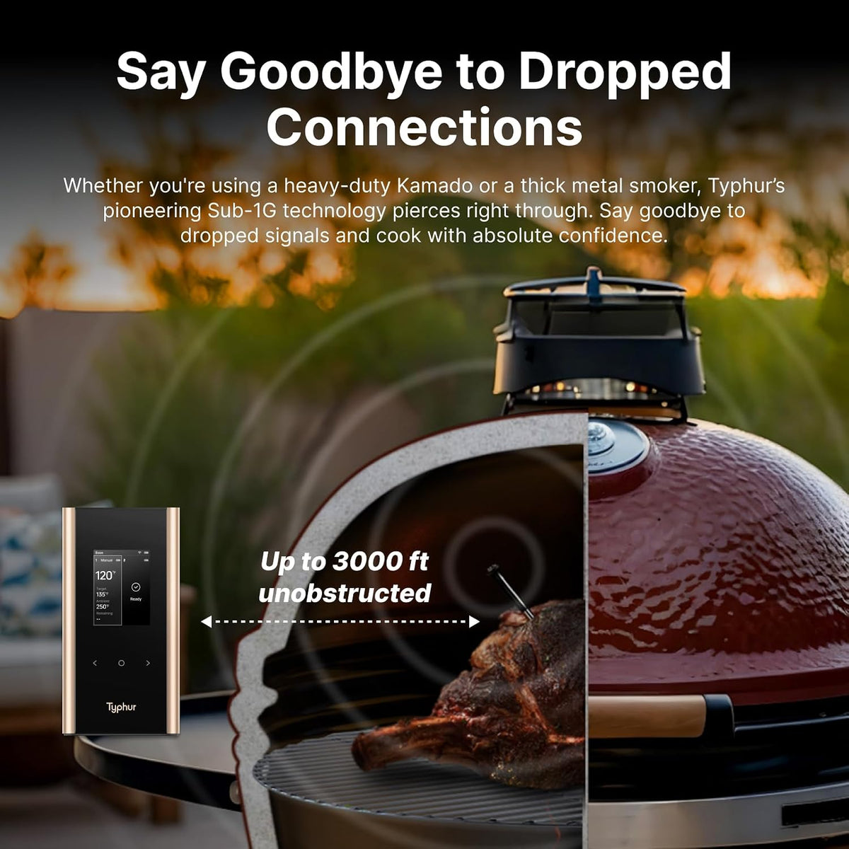 Typhur Sync Gold Dual Wireless WiFi Meat Thermometer with Carrying Case