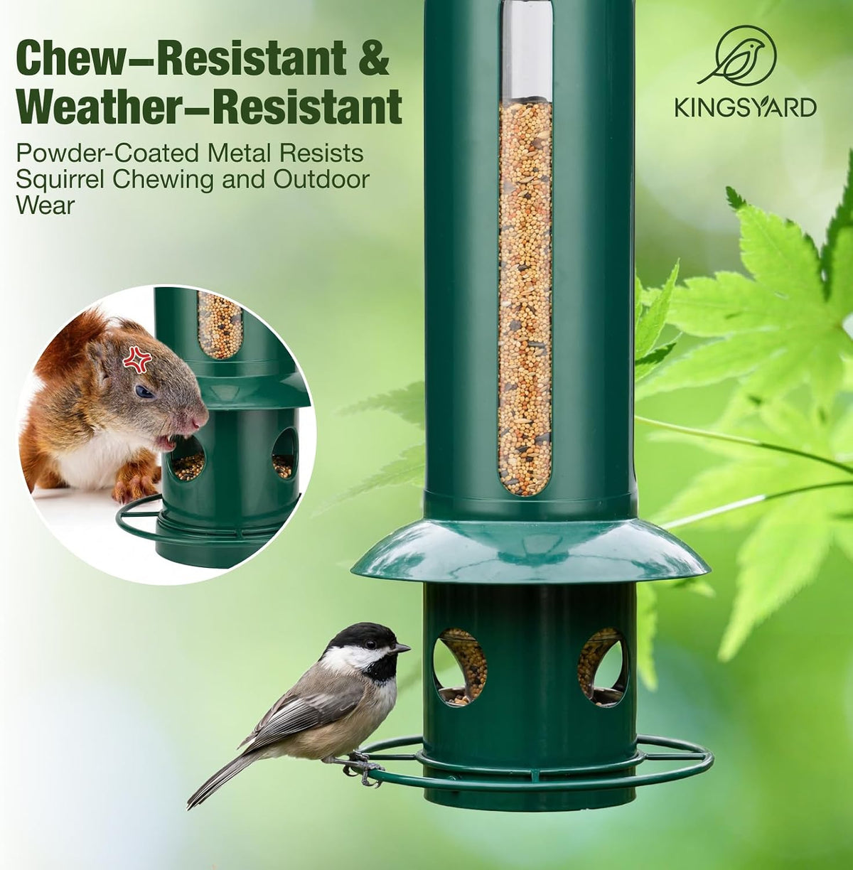 Squirrel Proof Hanging Bird Feeder for Outdoors