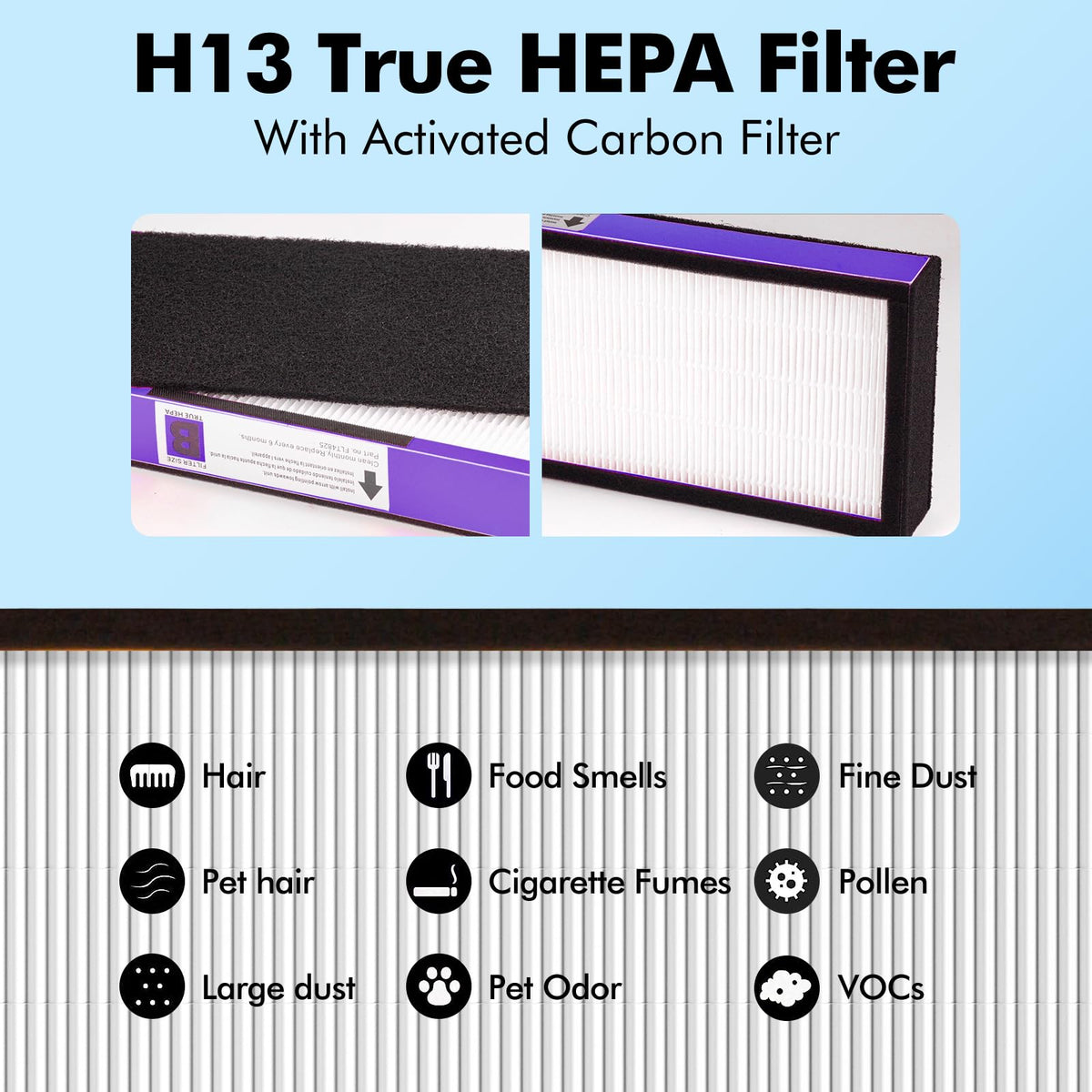 FLT4850PT HEPA Filter B Pet Replacement Compatible with GermGuardian