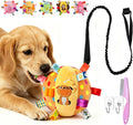 Colorful Squeaky Hanging Dog Training Toy with 60 inch Elastic Ropes Soft, 6-Inch Soft Stuffed Ball with Cotton