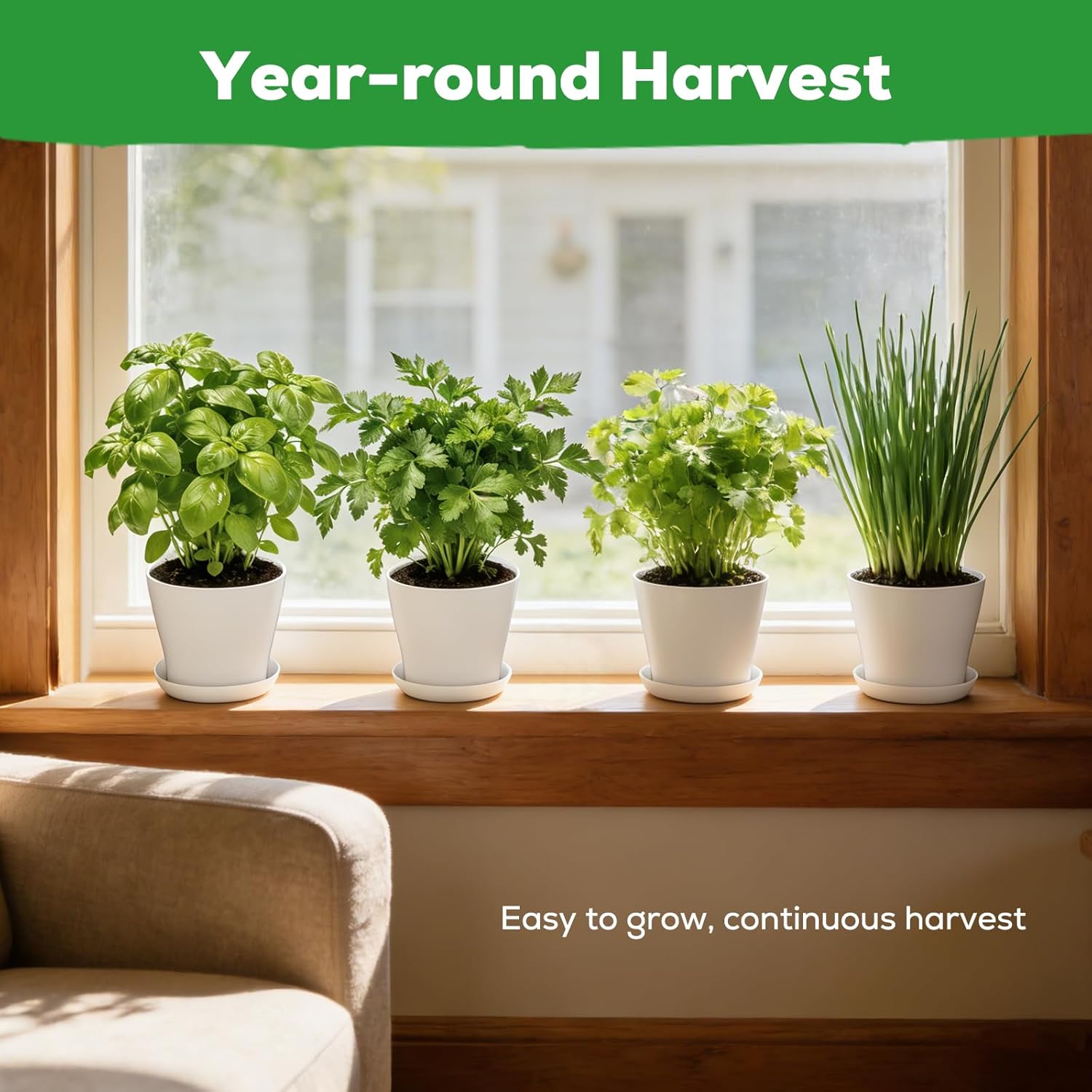Indoor Herb Garden Starter Kit - Mothers Day Gifts - 4 Non GMO, Heirloom Culinary Herb Seeds, Unique Gardening Gift