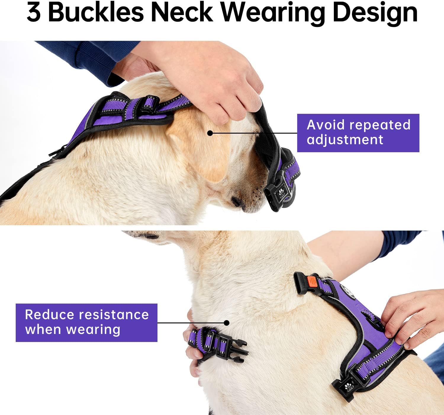 No Pull Dog Harness for Medium Dogs, Dog Vest Harness with Leash, Safety Belt and Storage Strap, Fully Adjustable
