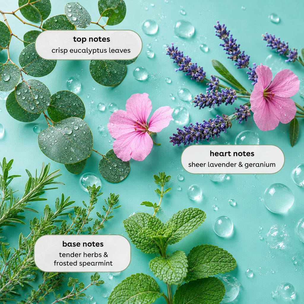 Botanicals Hand Soap, 128oz, Eucalyptus Tranquility
