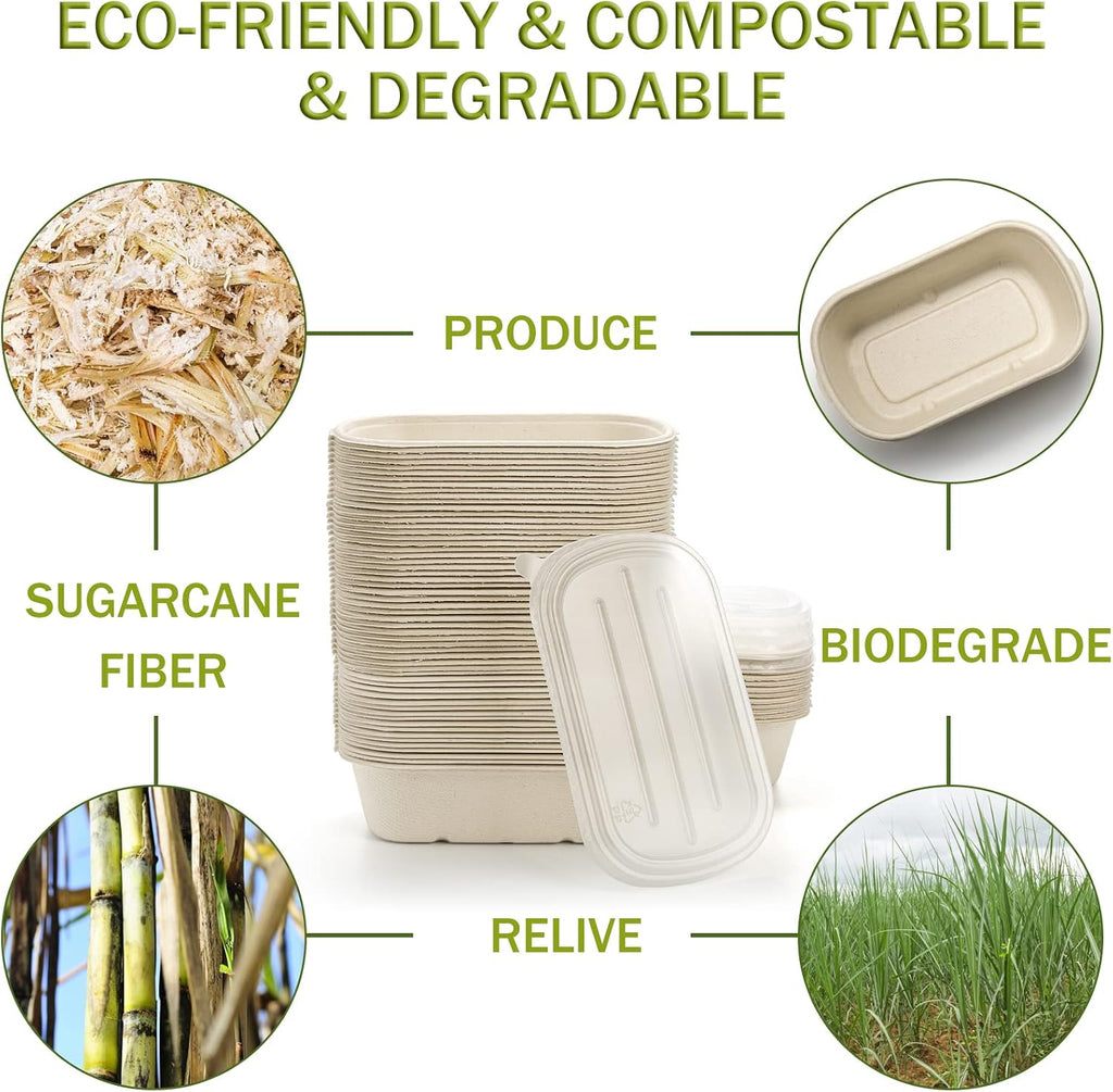 70 Pack Compostable Take Out Food Containers with PP Lid, 23 Oz Bagasse to Go Containers Rectangular Disposable Paper