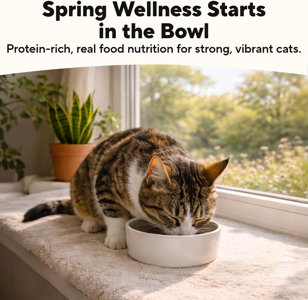 Grain Free Wet Cat Food, 95% Chicken & Chicken Liver, 5.5oz