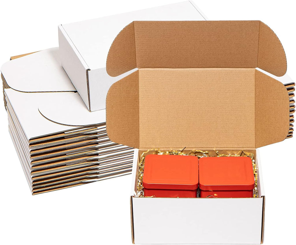 Shipping Boxes 9x6x4 inches 25 Pack White Corrugated Cardboard Mailing Box for Small Business - Literature Mailer