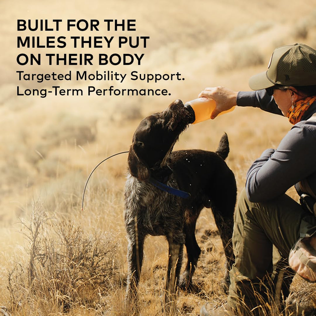 Advanced Mobility Beef Bone Broth for Dogs, 18 Single Servings