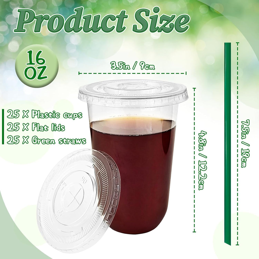 25 Set 16oz Plastic Cups with Flat Lids and Straws,Disposable Plastic Iced Coffee Cup,Disposable Clear Drinking Cups