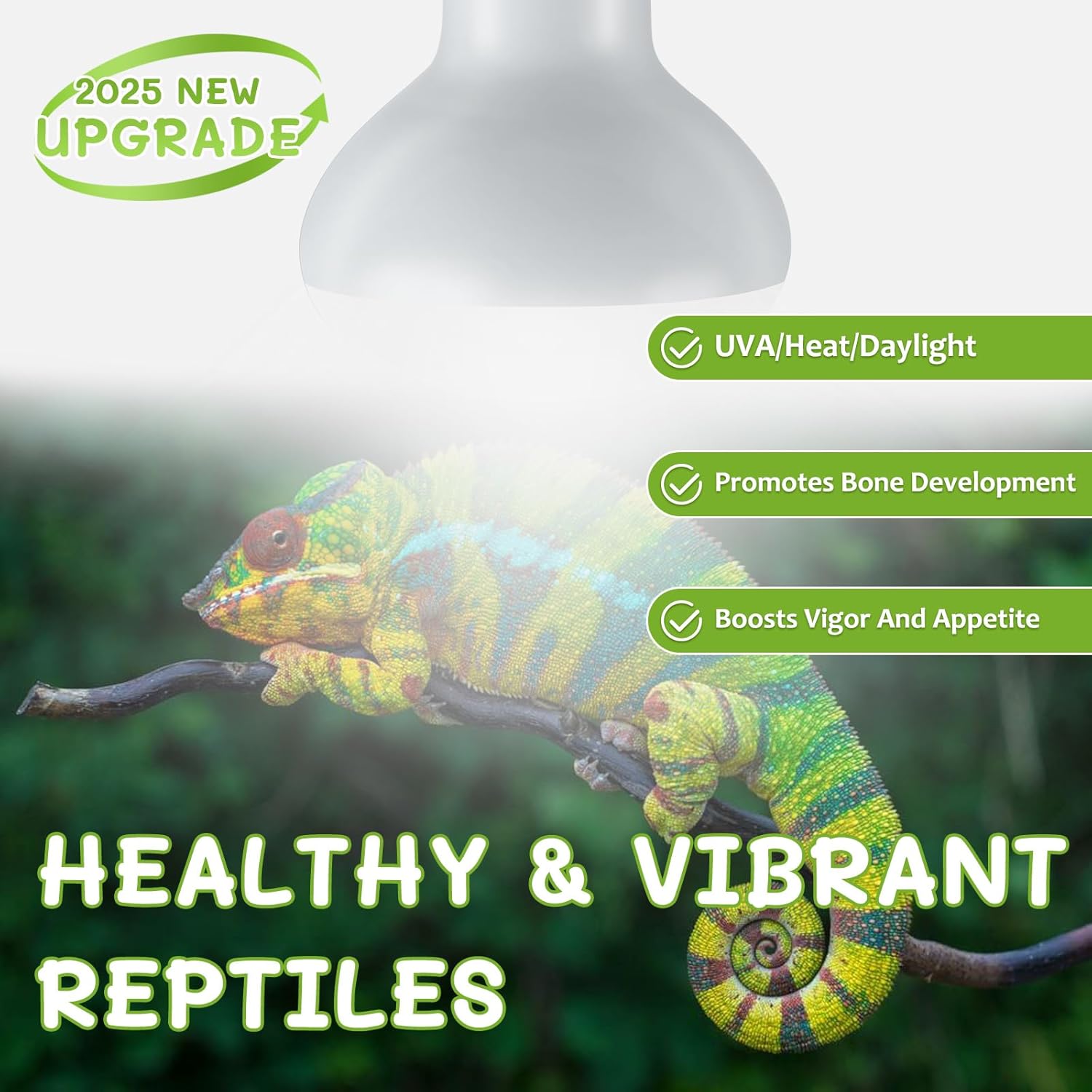 Reptile Heat Lamp Bulbs, Simulate Natural Sunlight Heat Light Bulb, 2 Pack 100W Amphibian Terrarium Basking Spot Lamp