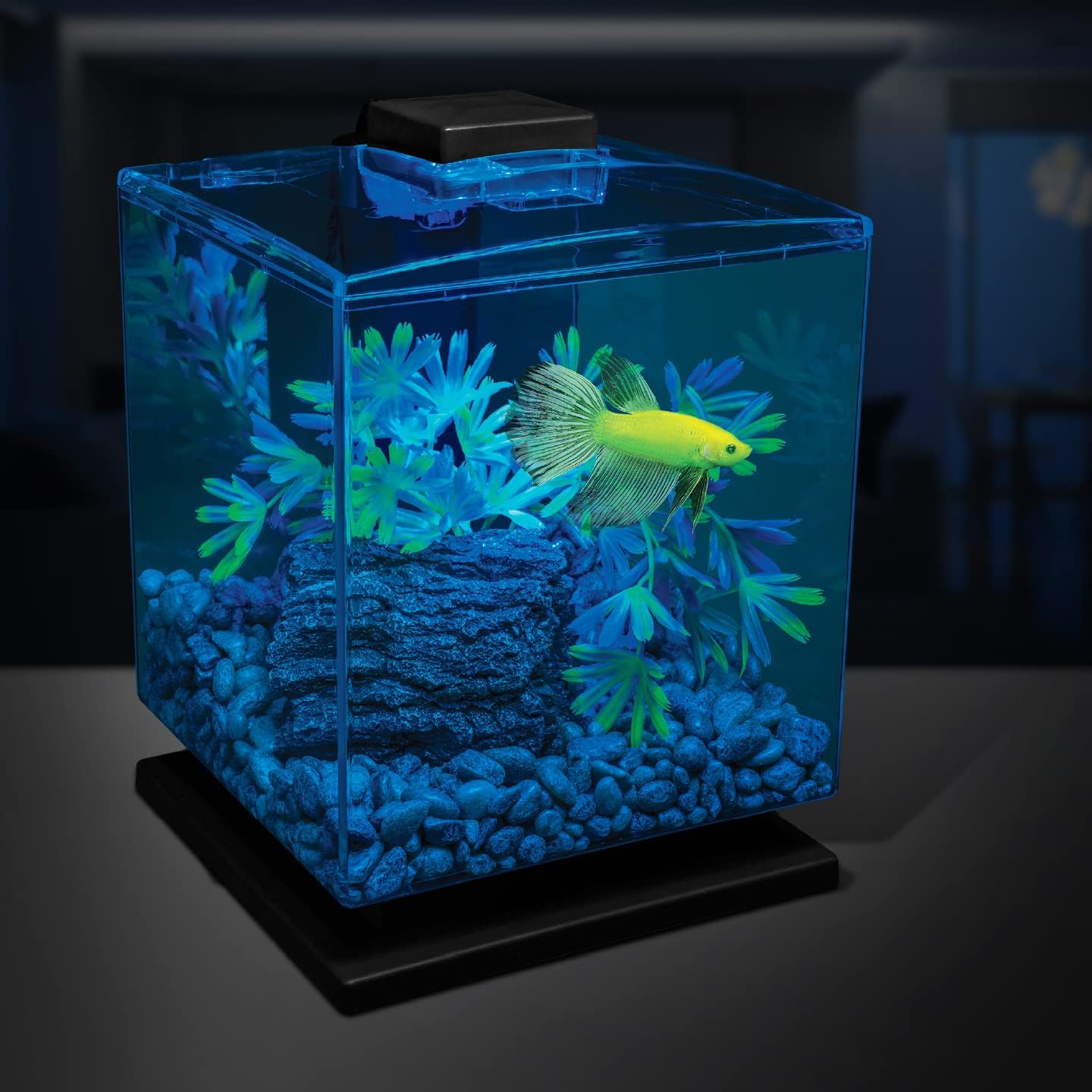 Aquarium Gravel 5 Pounds, Pearlescent, Complements Tanks and Décor (AQ-78484)