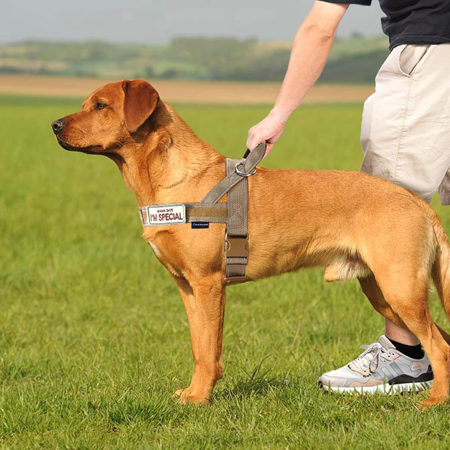No Pull Dog Harness with Soft Padded Handle,Reflective Strip Escape Proof and Quick Fit to Adjust Dog Harness,Easy