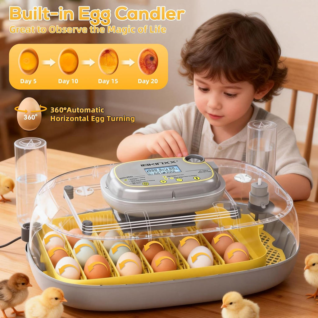 Incubator for Hatching Eggs - 24 Egg Capacity, 360° Viewing for Chicken