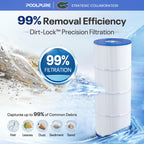PLFPJANCS100 Pool Filter Replaces Jandy CS100 1PACK