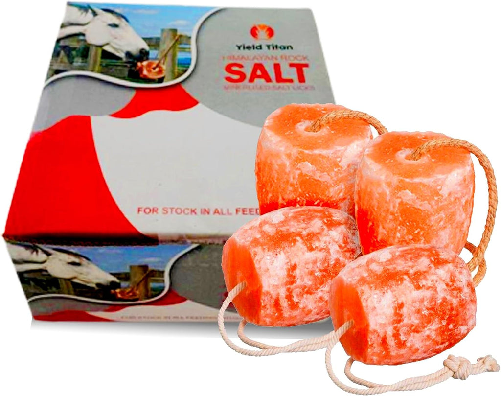 Himalayan Lick Animal Salt Block on Rope, 100% Natural and Organic for Horses/Deer/Livestock- Free of Harmeful