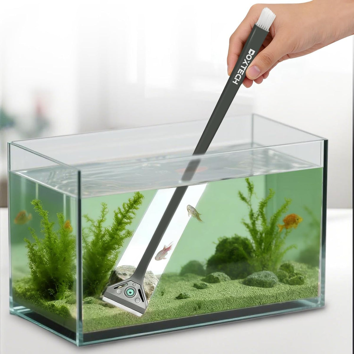 Aquarium Algae Scraper with Dual Head Design for Small Tanks