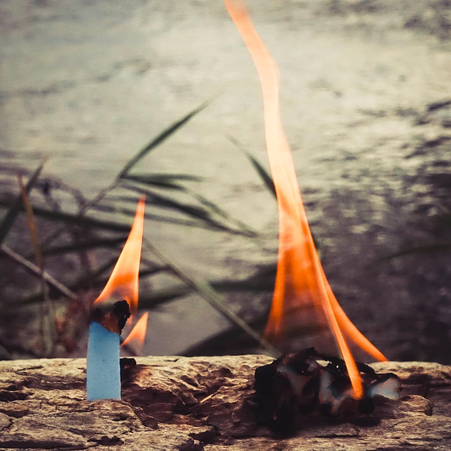 FIRE Starter Plugs (50 Pack) Extreme Winter & Weather Resistant Can Light 50+ Fires for Survival, Campfires