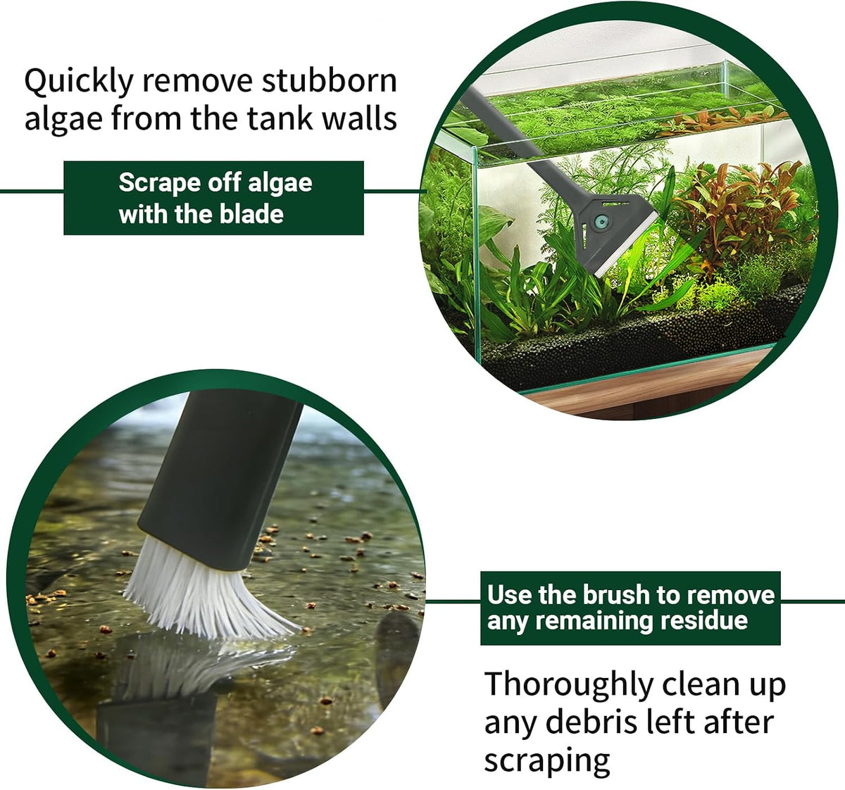 Aquarium Algae Scraper with Dual Head Design for Small Tanks