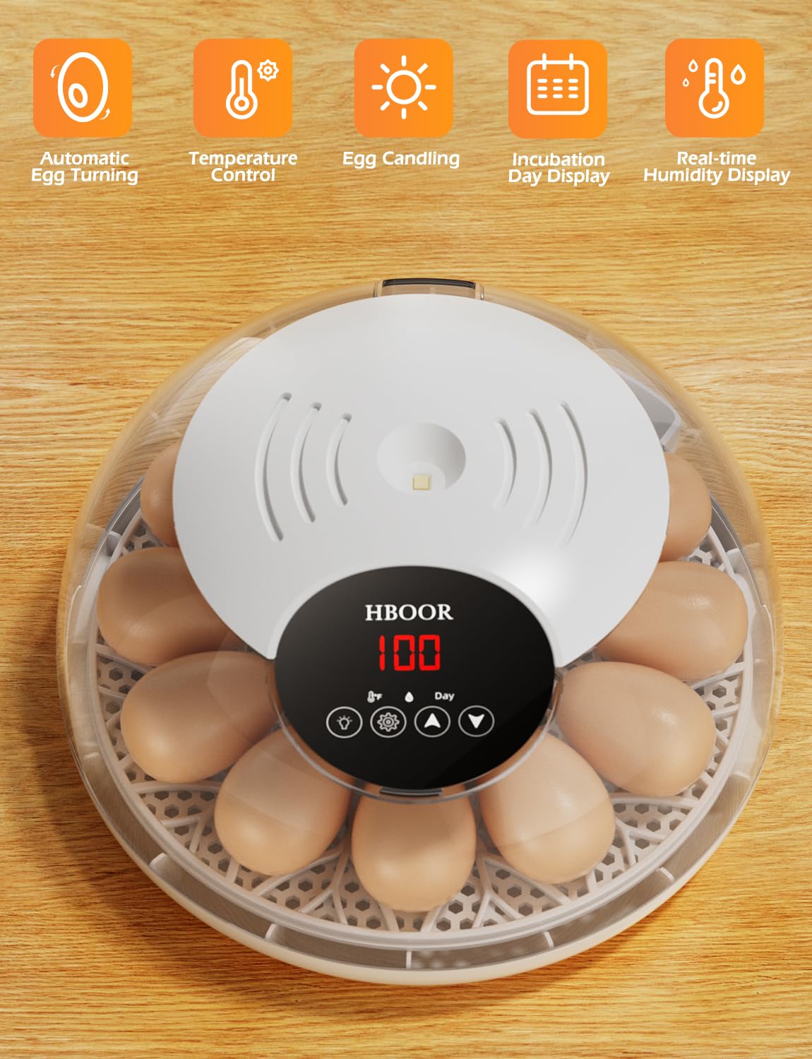 Incubators for Hatching Eggs, 12 Egg Incubator with Automatic Egg Turning and Temperature Humidity Control, Egg