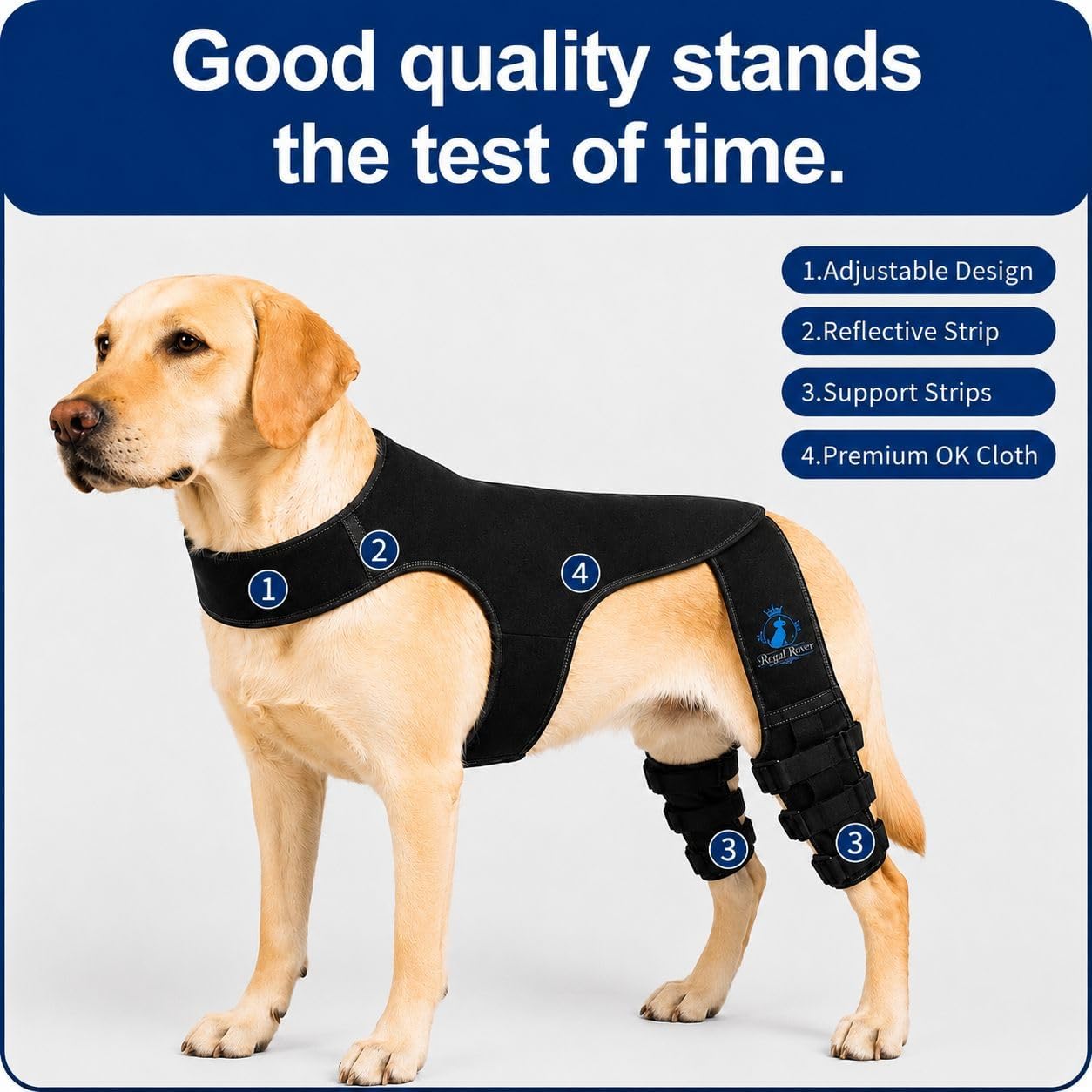 Dog Rear Knee Brace for Small & Medium Breeds, Adjustable Hind Leg Support for ACL/CCL Injury Recovery, Joint