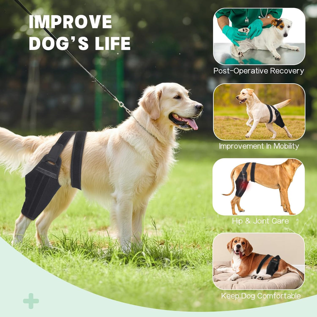 Dog Knee Brace for Torn ACL Hind Leg – Support Dog Leg Brace for Back Leg with 2 Stabilizers, Adjustable Hip Support