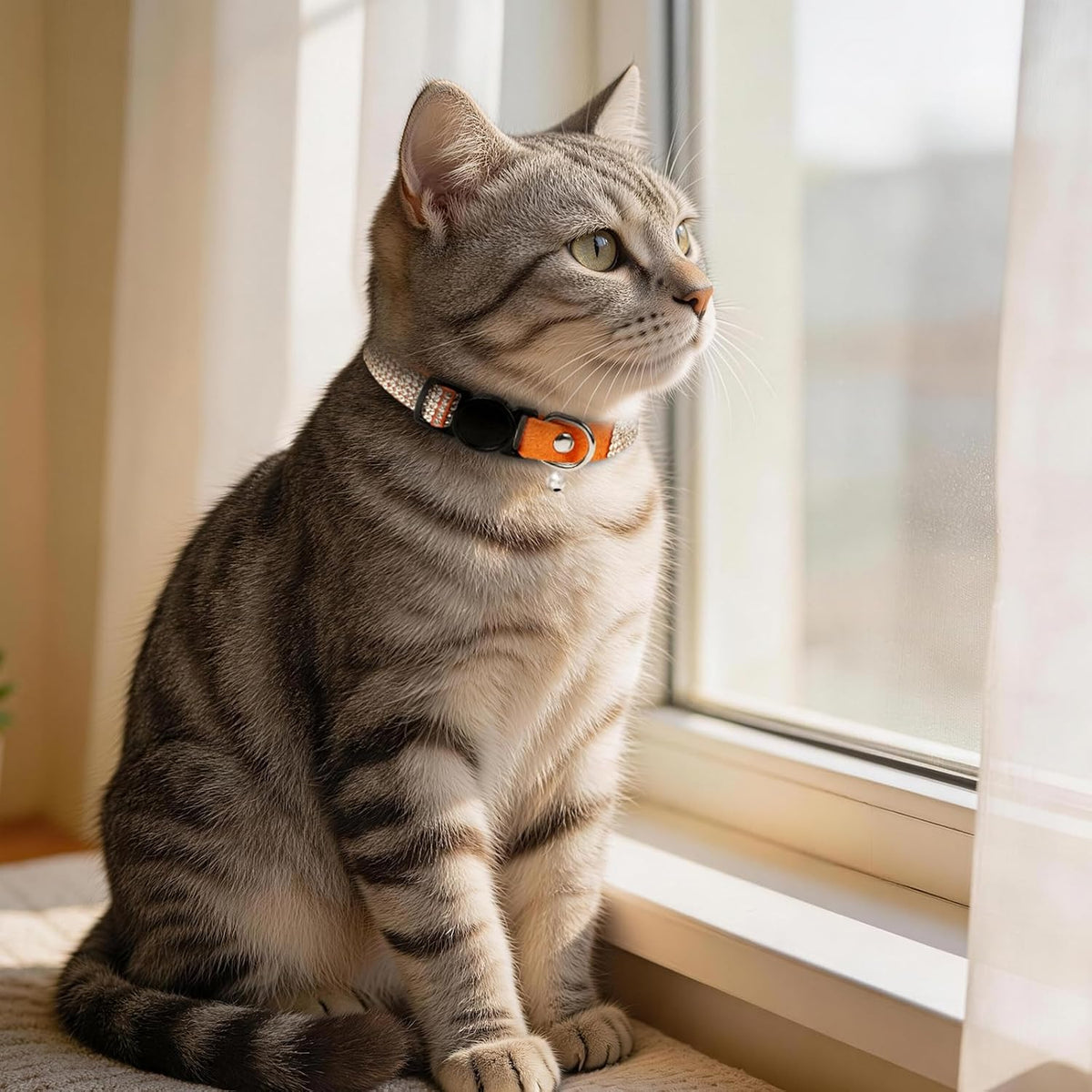 Rhinestone Cat Collar Breakaway (Orange)