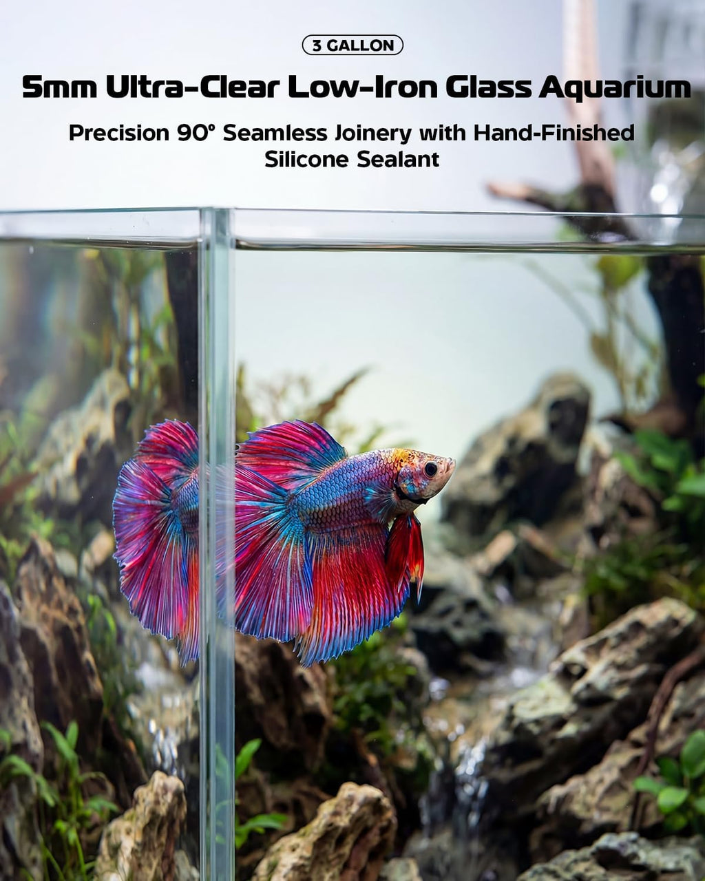 Glass Fish Tank Kit, 3 Gallon Betta Nano Fish Tank Aquarium Starter Kit