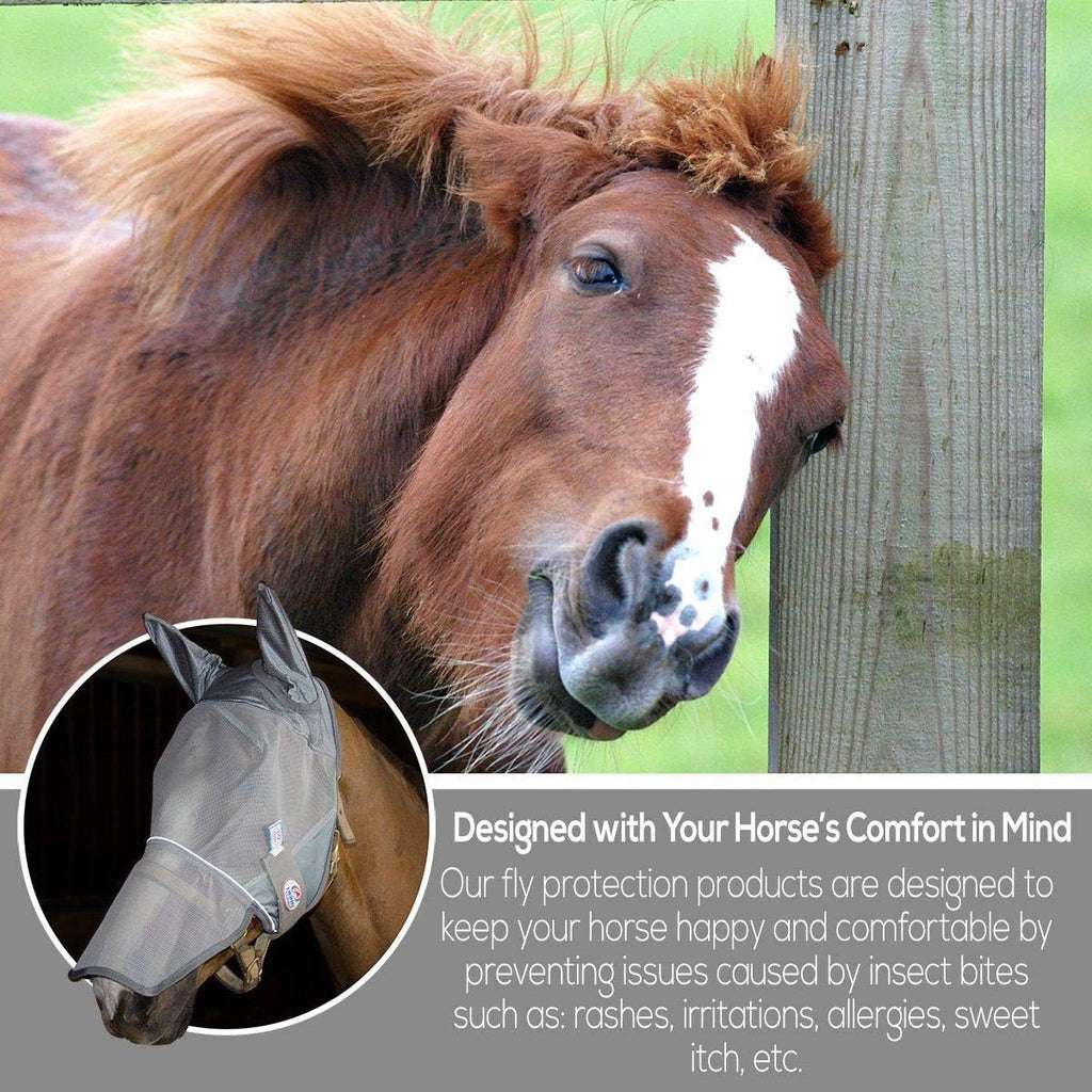 Reflective Fly Mask