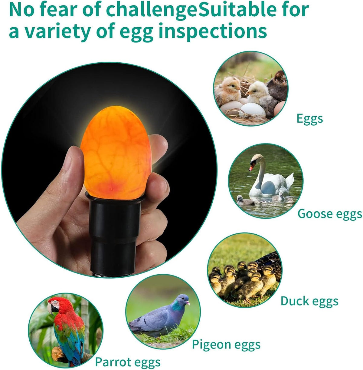 Egg Candler, Candling Light Tester for Eggs with High Intensity,Egg Candle for Distinguishing Fertile Chickens Ducks