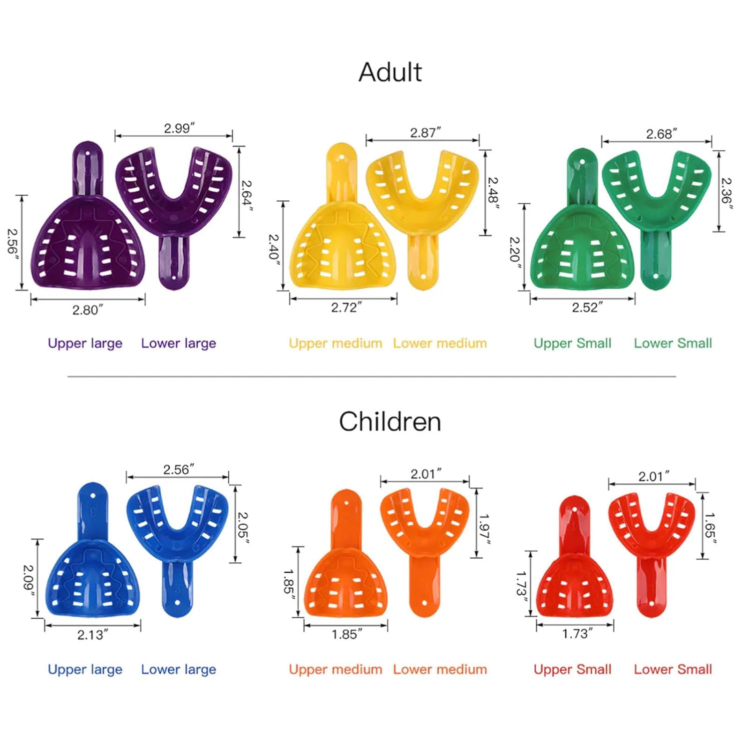 Dental Impression Trays Perforated Plastic Autoclavable 12Pcs Teeth Holder Upper & Lower for Adults and Child Multicolor