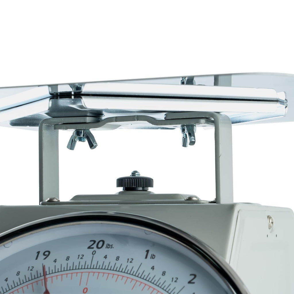 8" Clear Analog Receiving Stainless Steel Scale