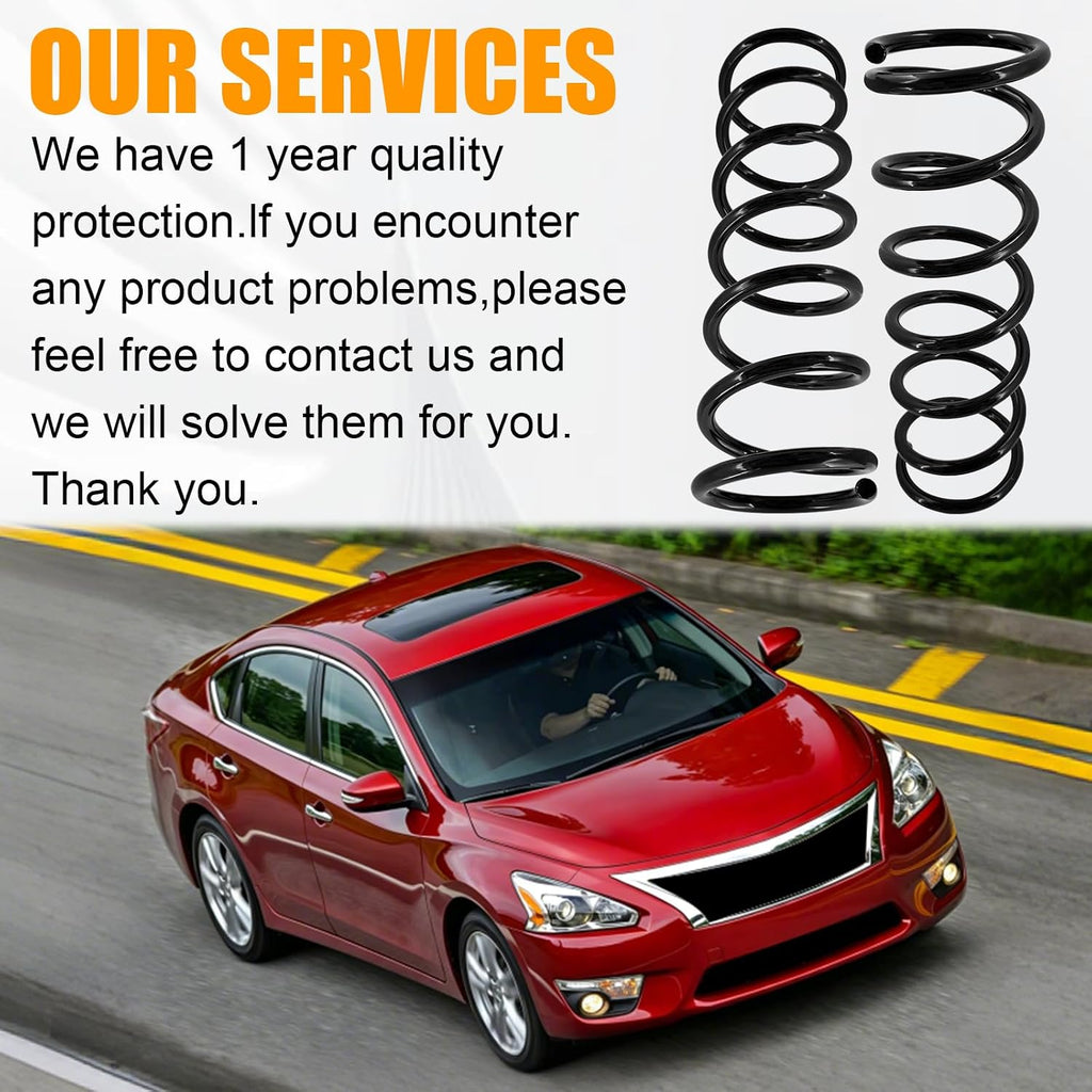 55020-3TA0C Rear Coil Spring Suspension Fits for Nissan Altima