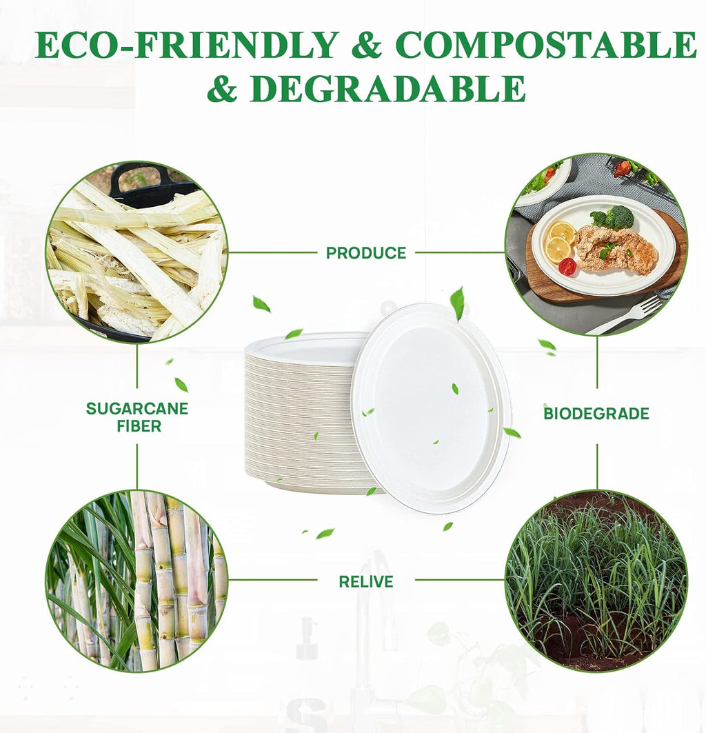 100% Compostable Oval Paper Plates 12 inch 125 Pack, White