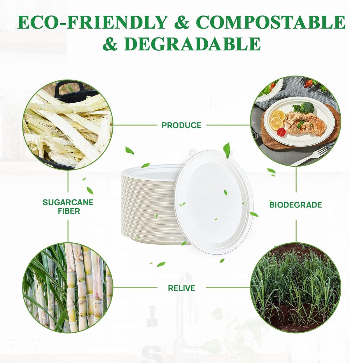 100% Compostable Oval Paper Plates 12 inch 125 Pack, White