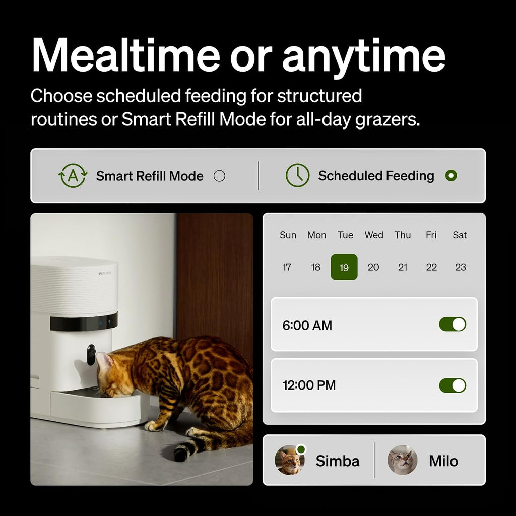 Automatic Cat Feeder with Camera, Scale AI Smart Food Intake Track